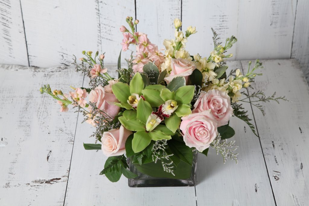 Blush & Bashful Fleur de Lis